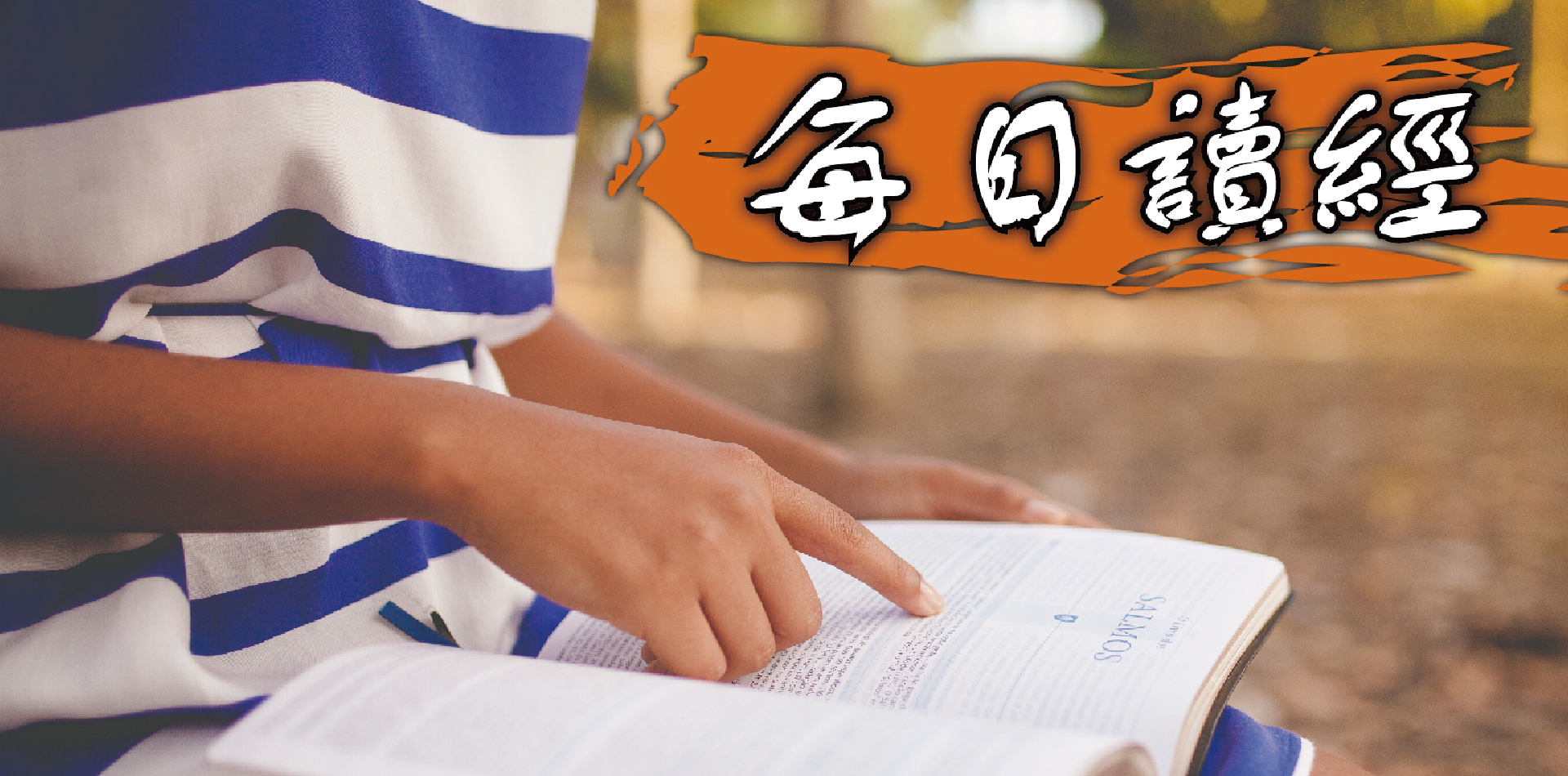 每日讀經2 工作區域 1